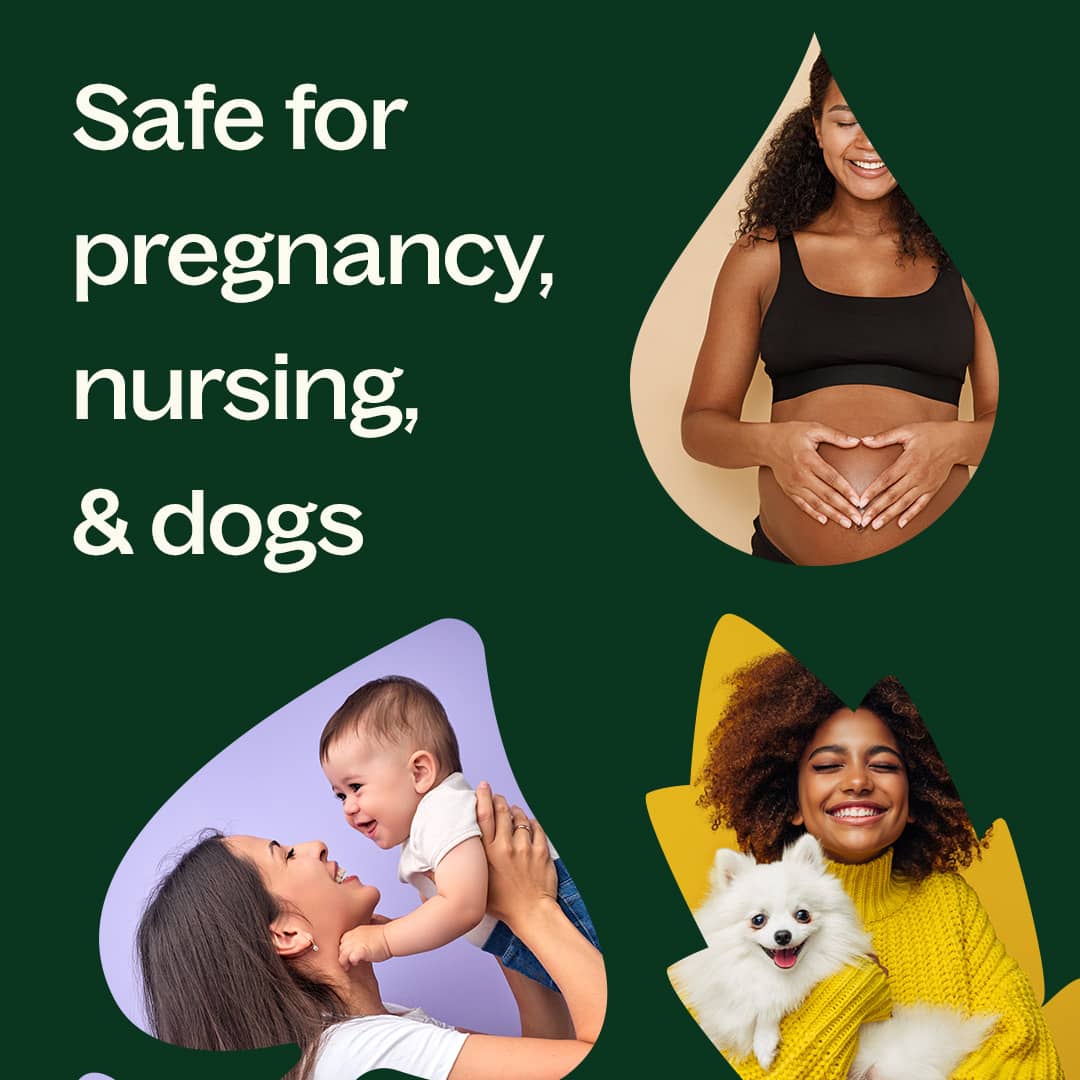 Persian Lime Essential Oil