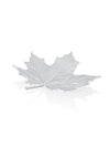Pewter Maple Leaf Dish
