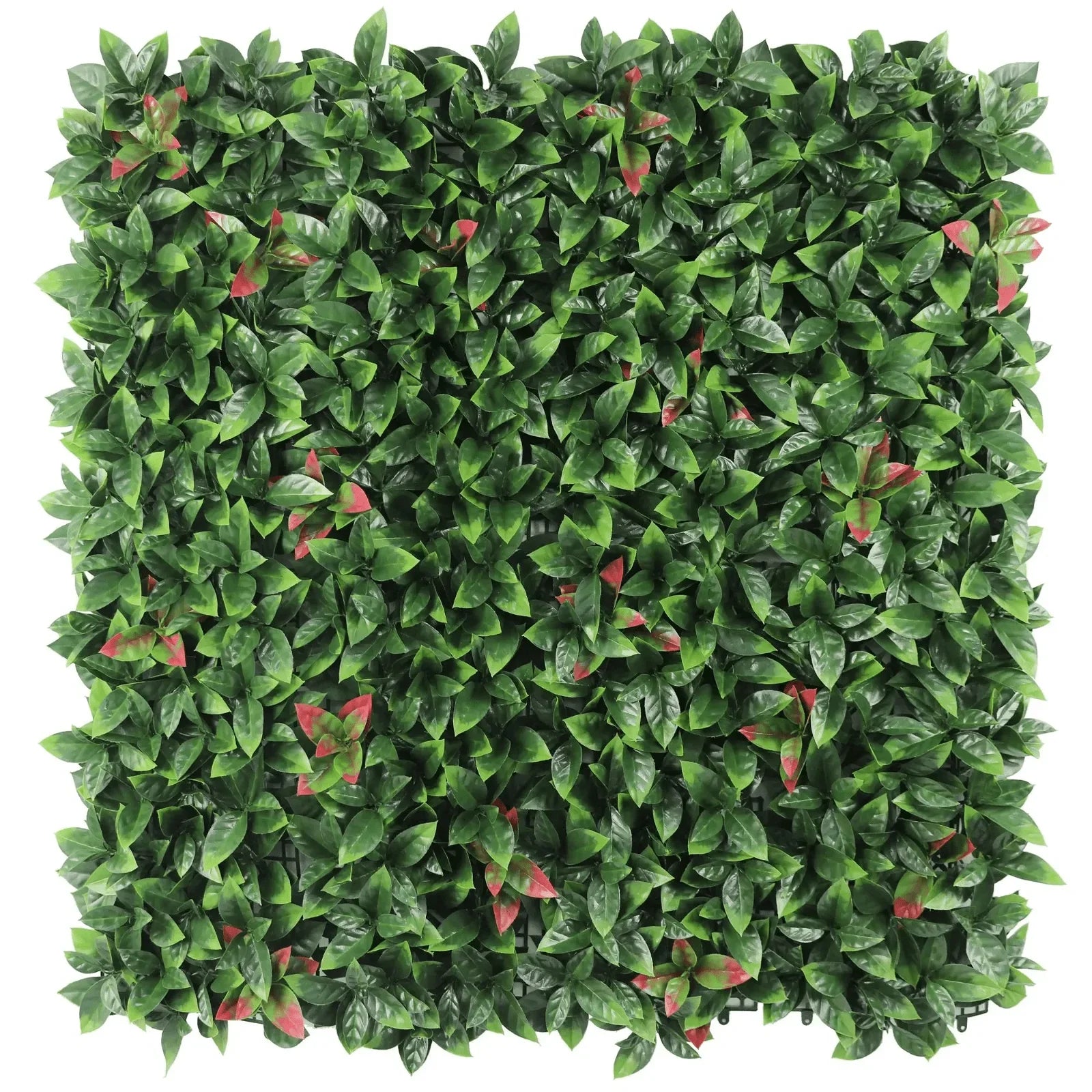 Photinia Artificial Vertical Garden Green Wall Panel 40×40in 11 SQ FT – UV Resistant – Commercial Grade