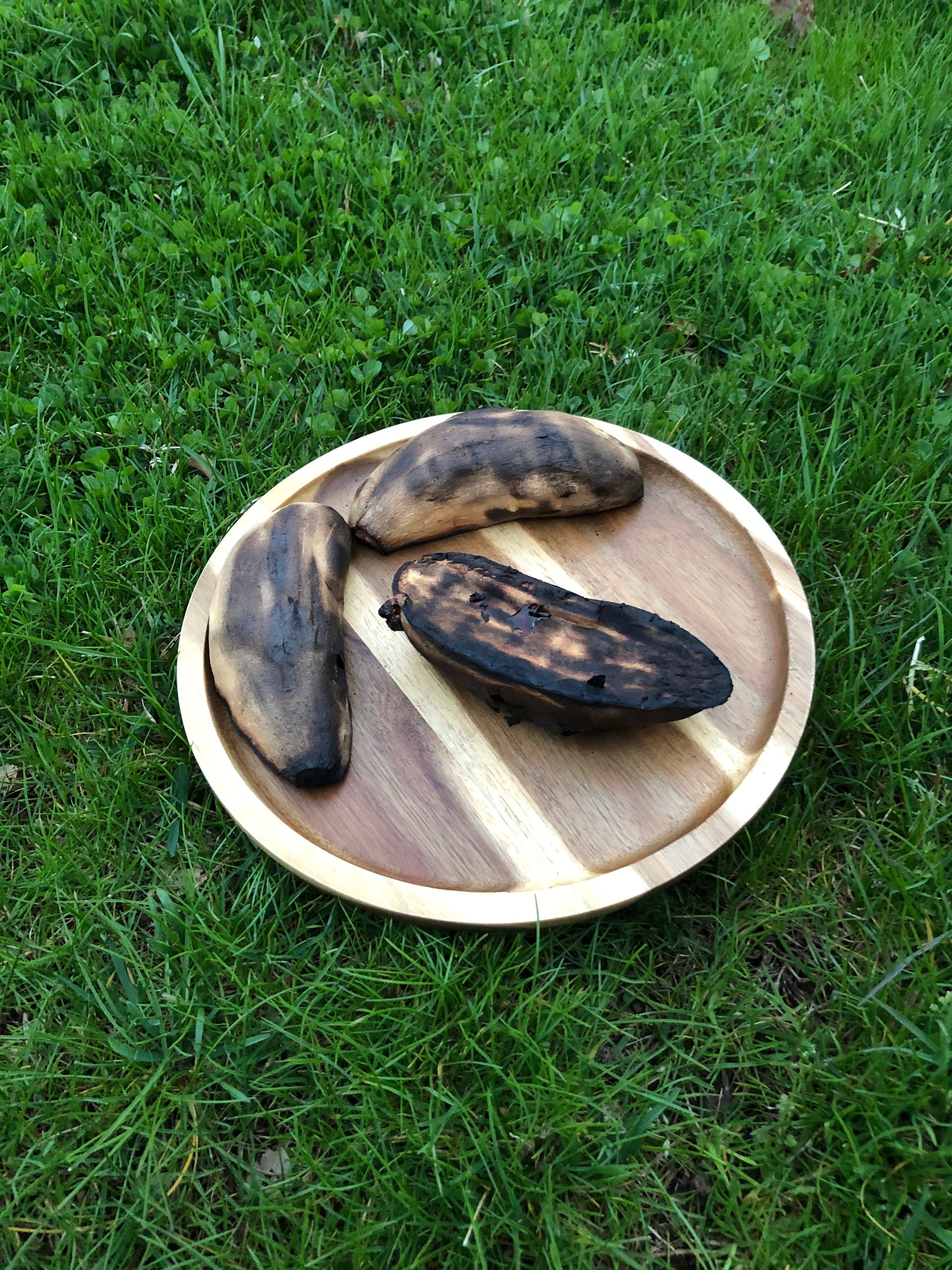 Zavis Green Acacia Wood Round Stackable Plate / Platter 10