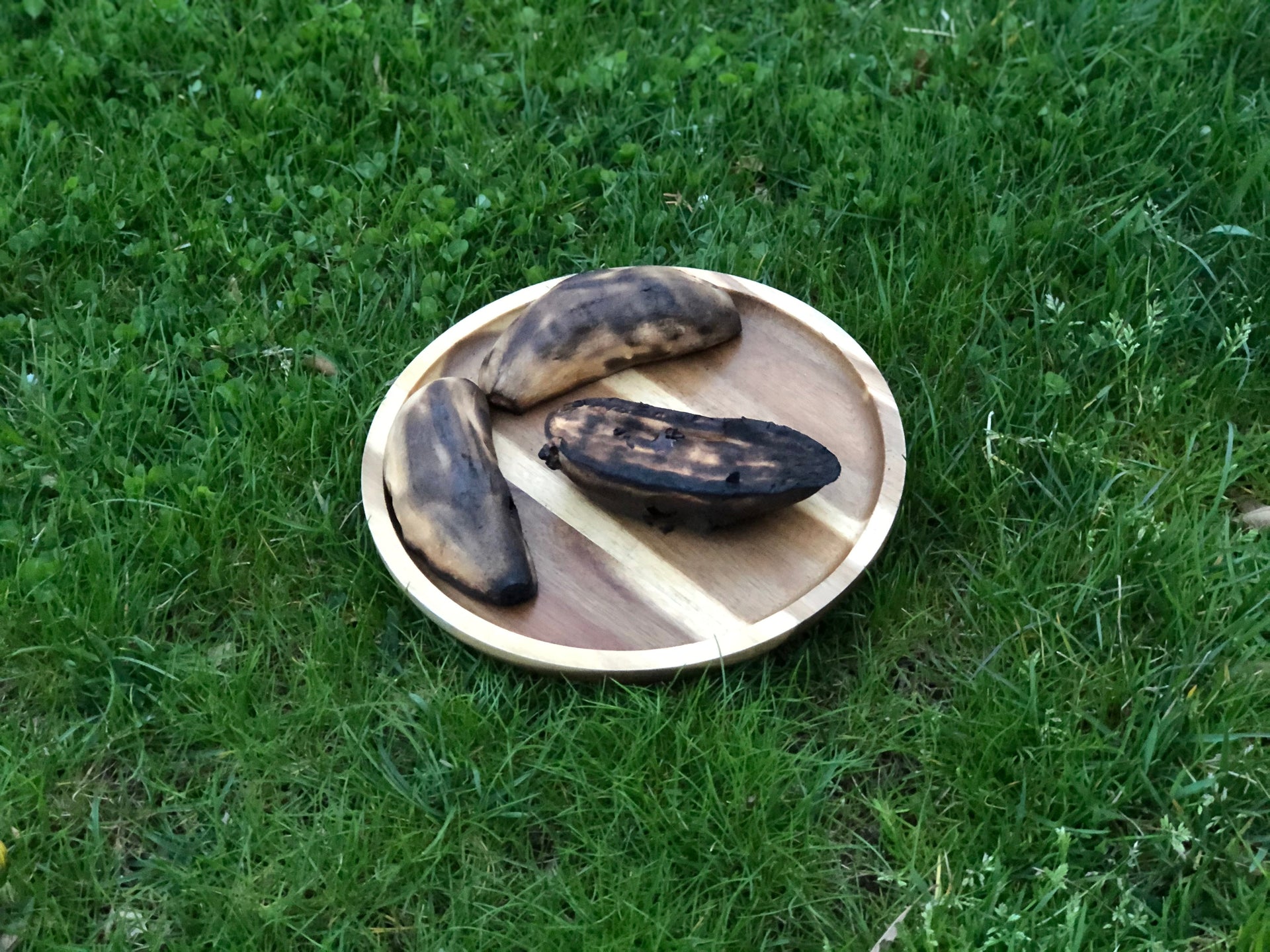 [ Set of 3 ] Zavis Green Acacia Wood Round Stackable Plate / Platter 12