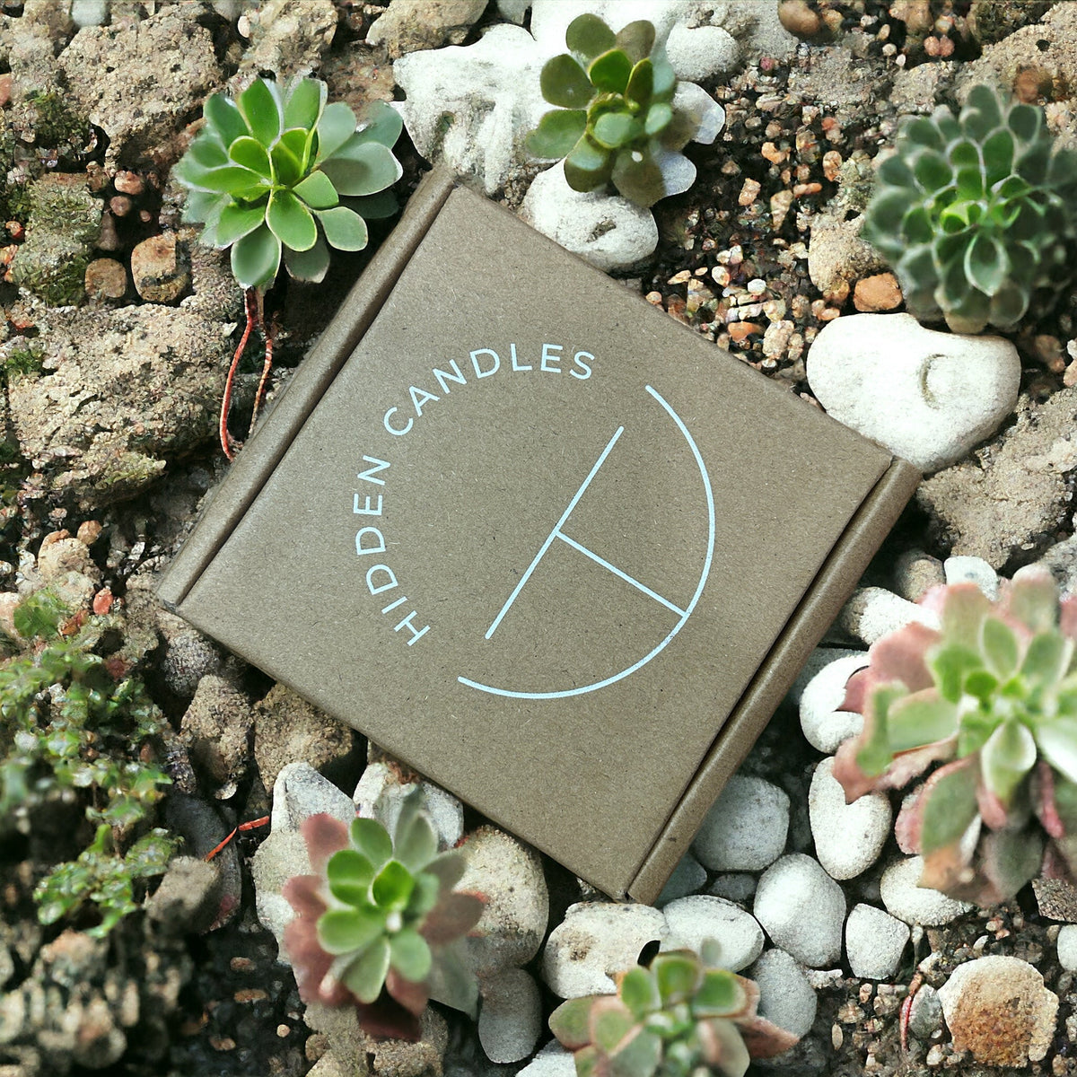 Cozy Tiny Home Candle 10.6 oz – Lavender, Vanilla & Eucalyptus