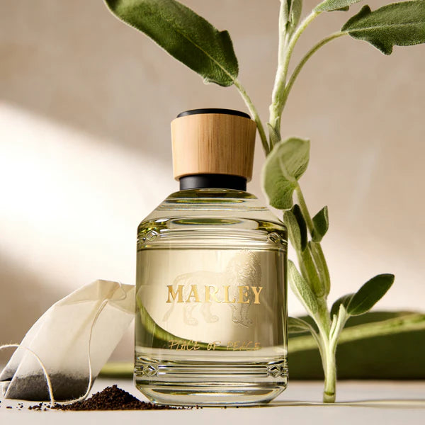 Perfume bottle labeled 'Marley' with a plant and tea bag in the background