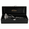 Platinum Dipped Natural Rose 11.5