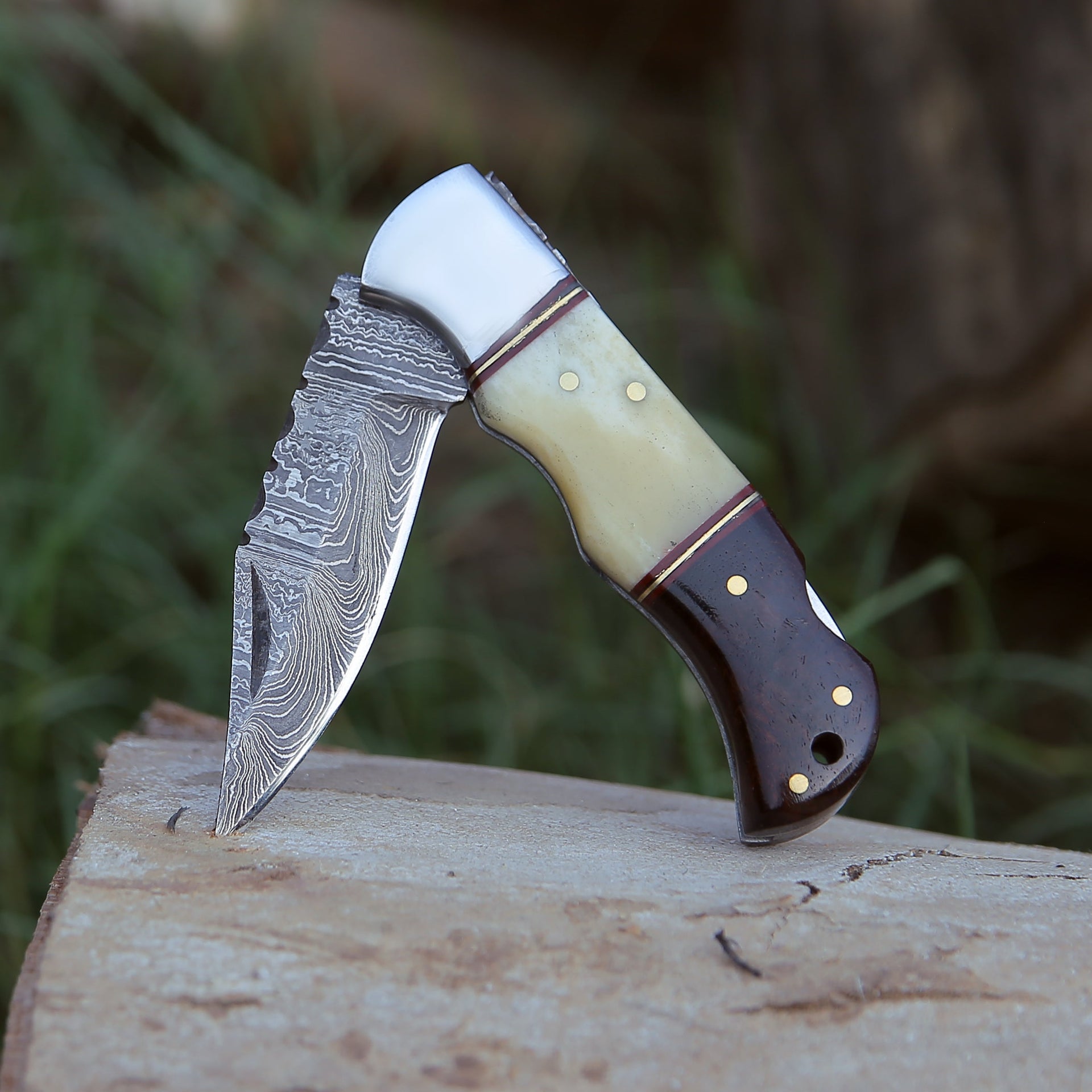 Falcon Pocket Knife with Exotic Rosewood Handle
