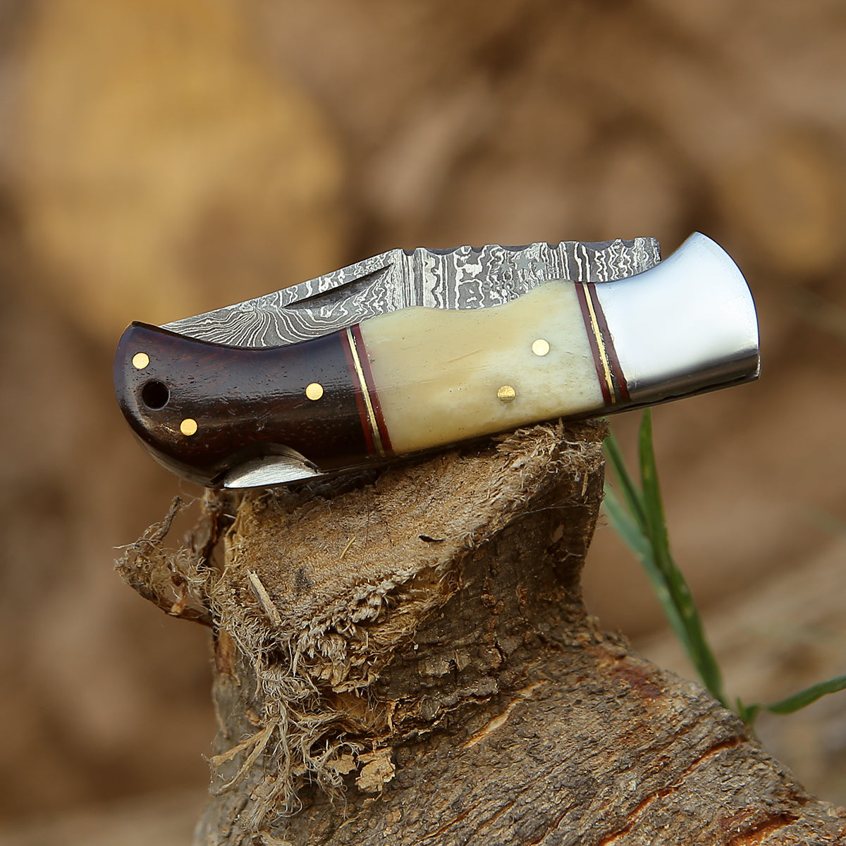 Falcon Pocket Knife with Exotic Rosewood Handle