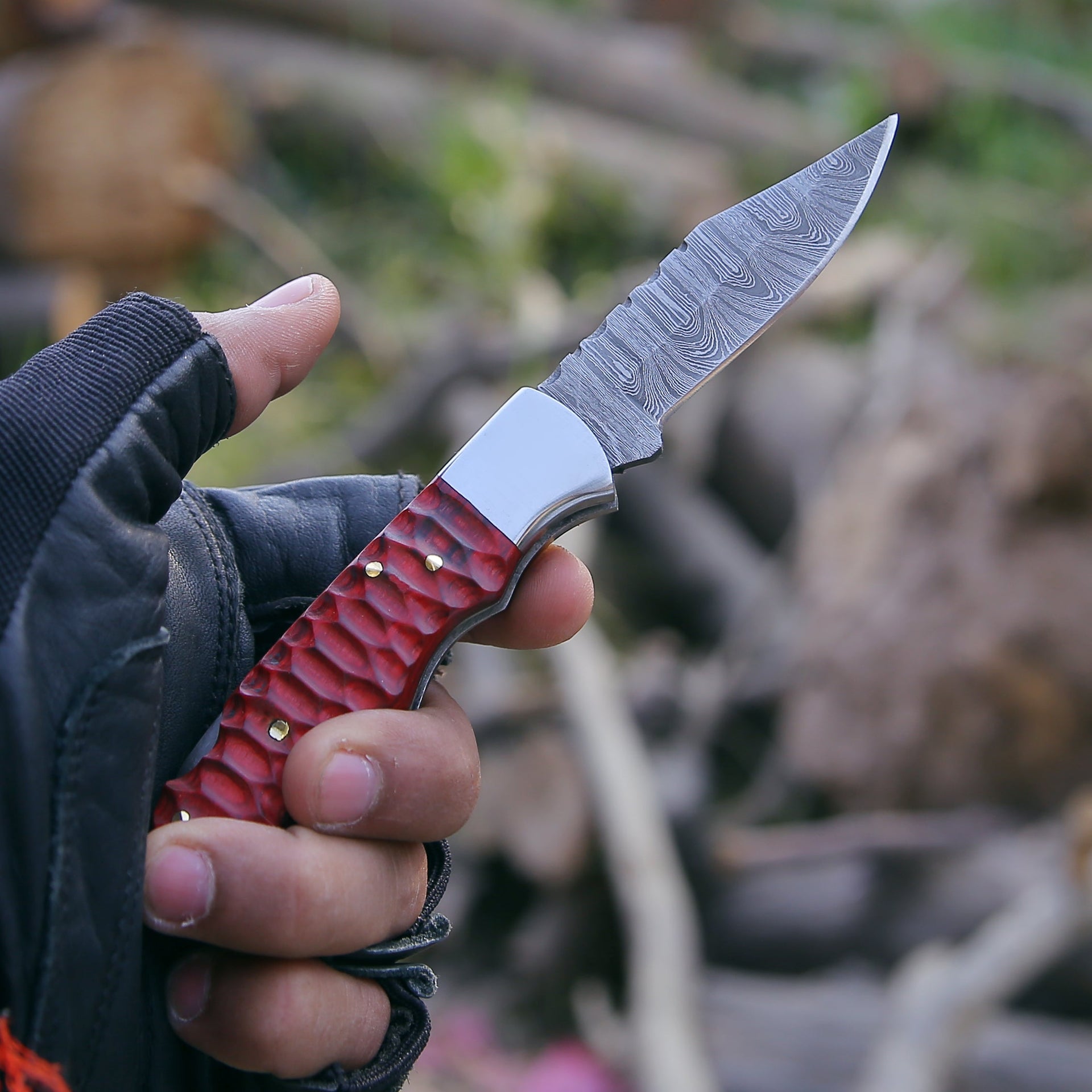 Rogue Pocket Knife with Forged Pakka Wood Handle