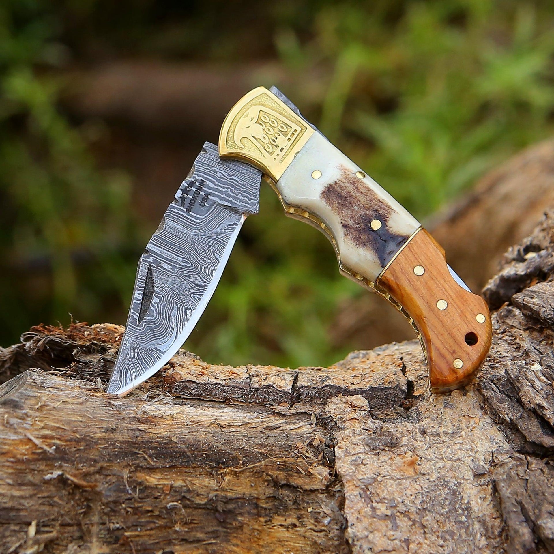 Echo Damascus Pocket Knife with Stag Horn/Antler & Olivewood Handle
