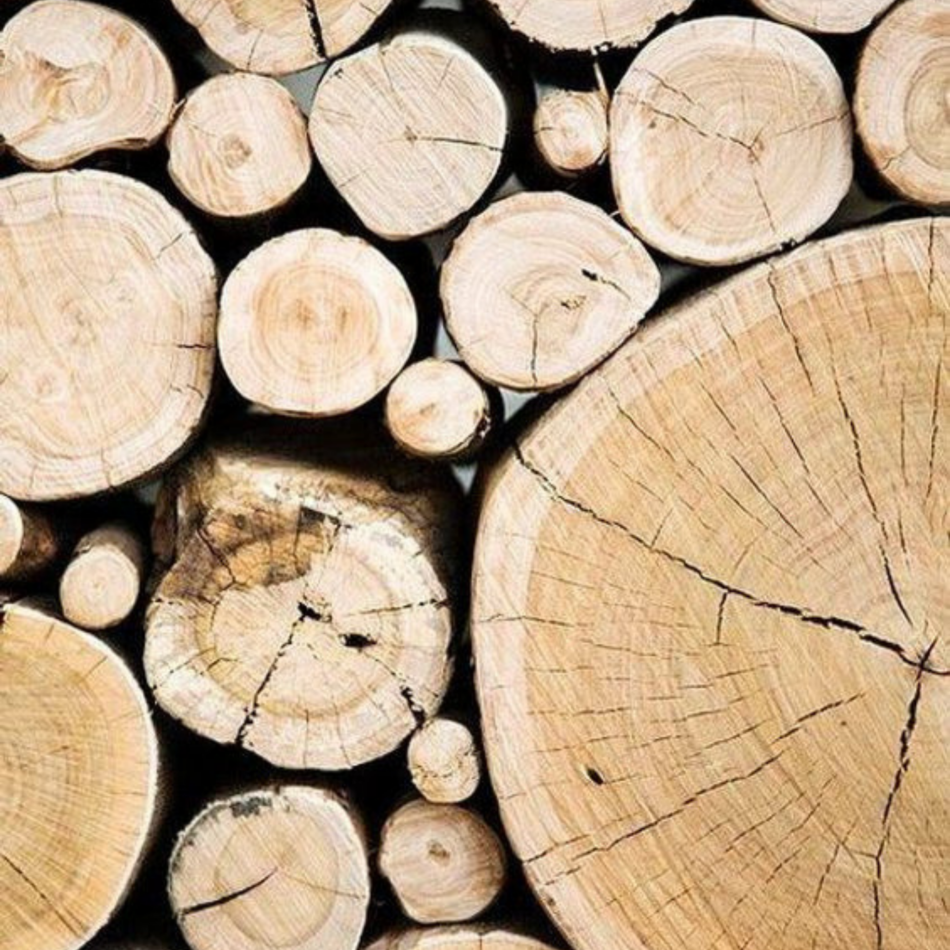 Vanilla Oak