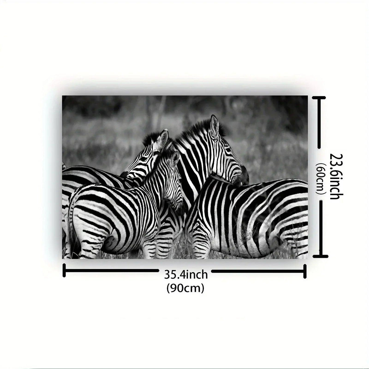 Poster - Vintage Zebra Canvas Print