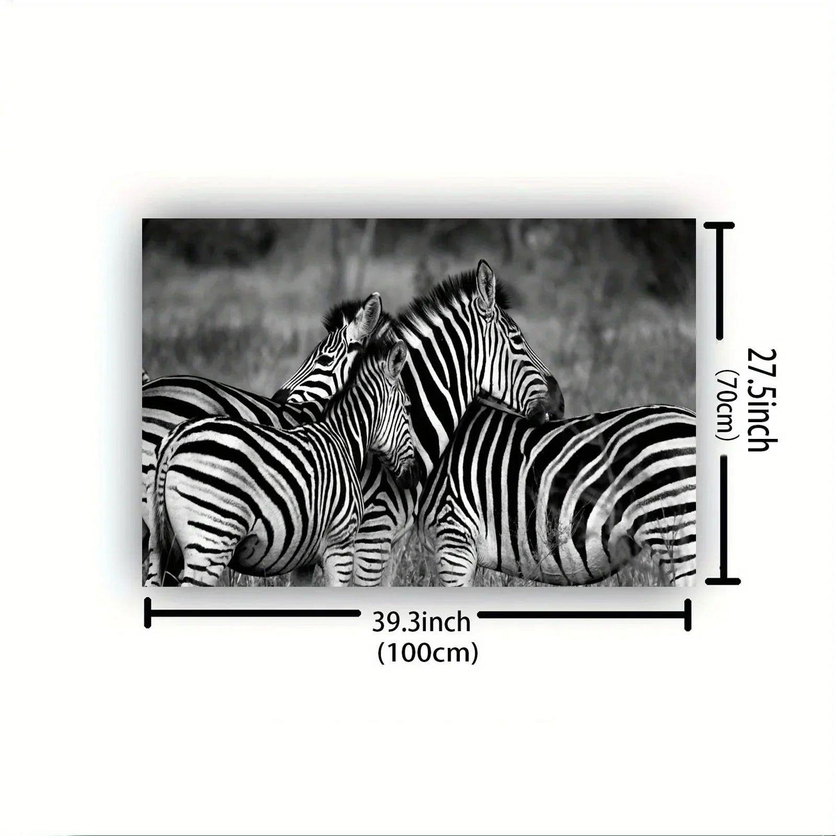 Poster - Vintage Zebra Canvas Print