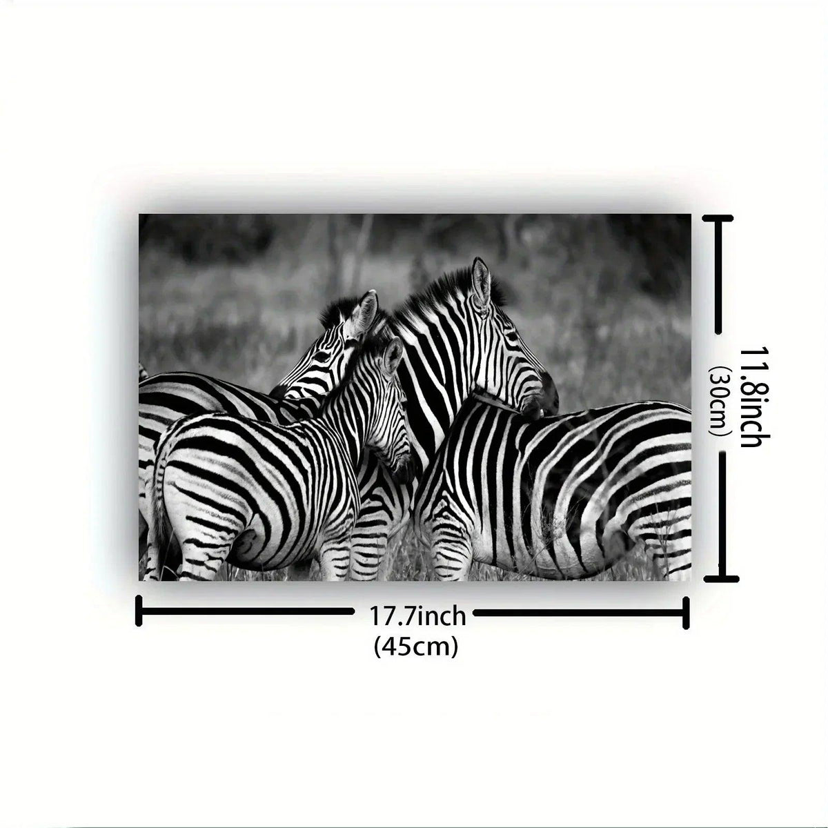 Poster - Vintage Zebra Canvas Print