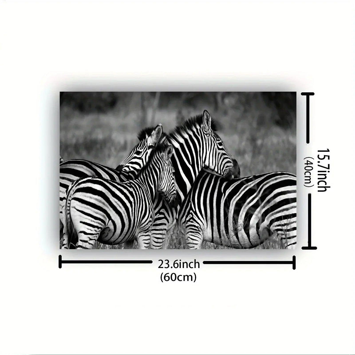 Poster - Vintage Zebra Canvas Print