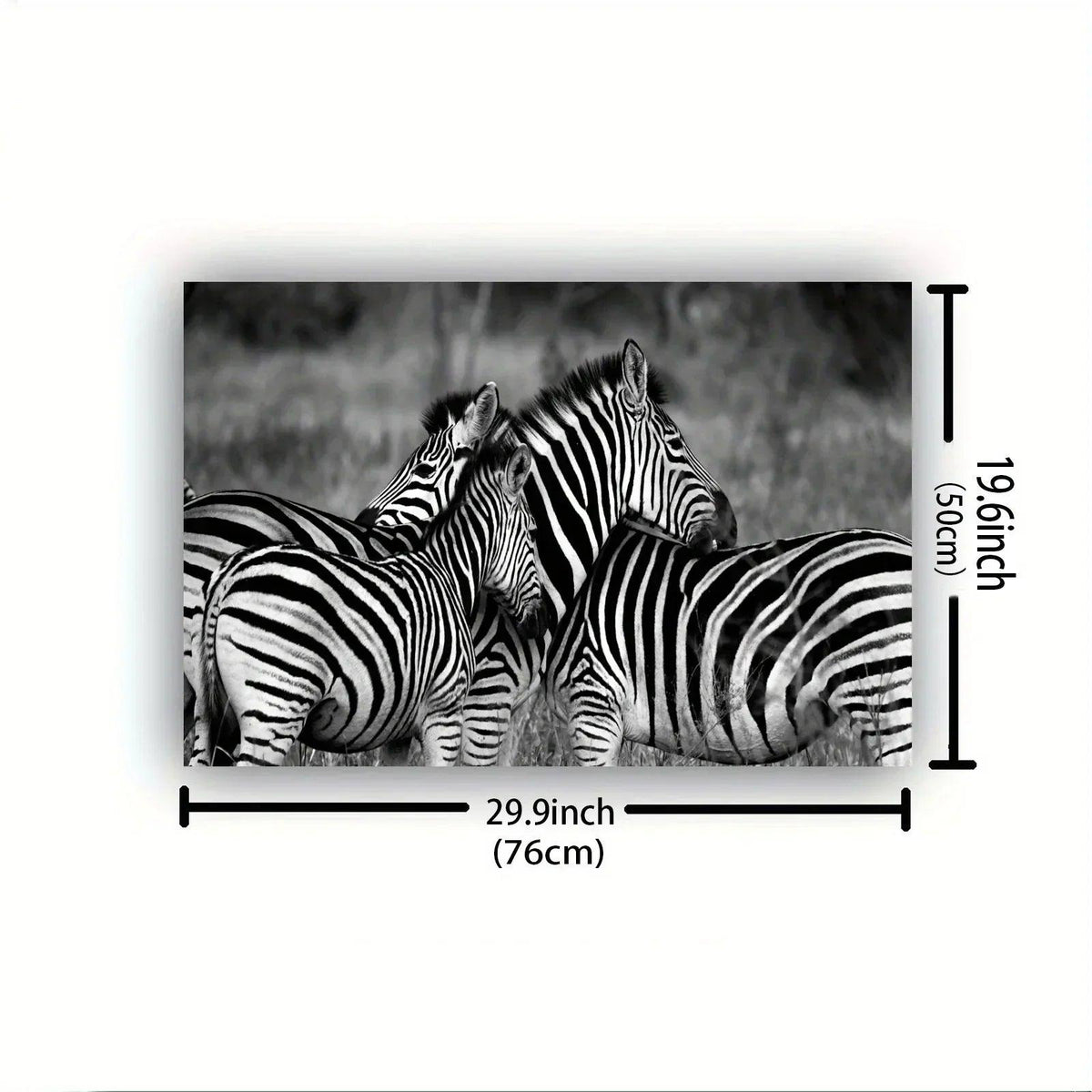 Poster - Vintage Zebra Canvas Print