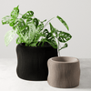 BUBBLY Planter - 4" / Midnight Black