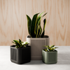 STACK Planter - 3 Inches / Muted Green