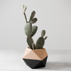 ICO Planter - 4" / Natural Wood & Midnight Black