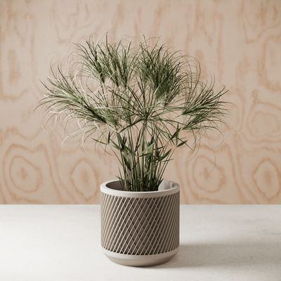 Weave Planter