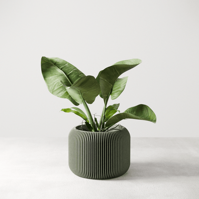 Orbis Planter