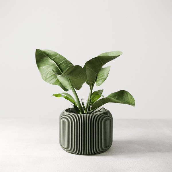Orbis Planter