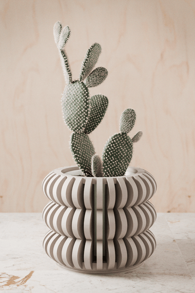 Triple Bubble Orchid Planter