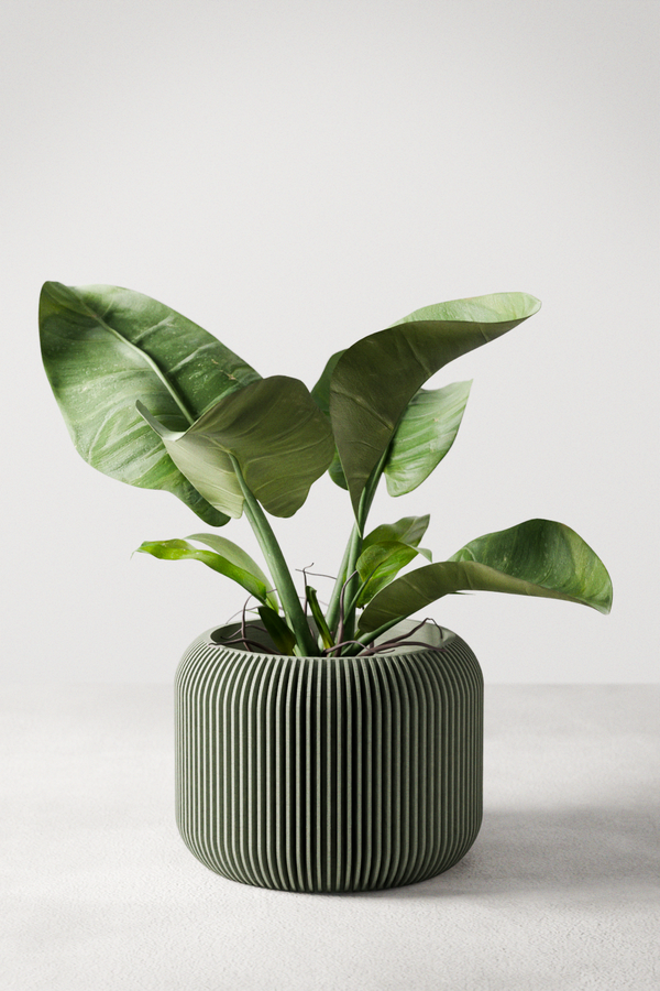 Orbis Planter