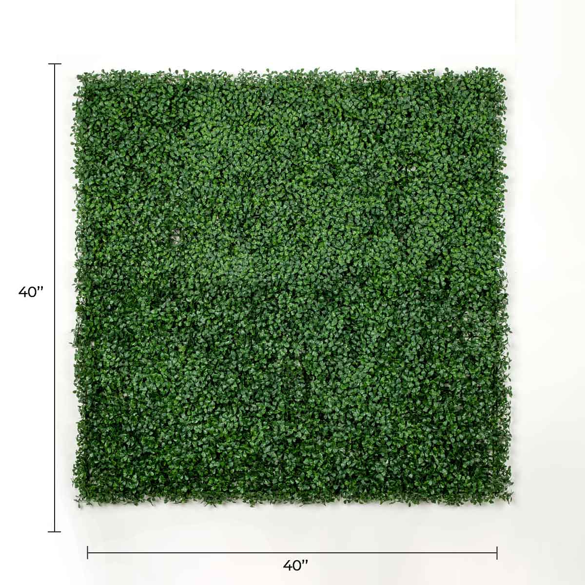 Dark Boxwood Artificial Vertical Garden Green Wall Panel 40×40in 11 SQ FT – UV Resistant – Commercial Grade