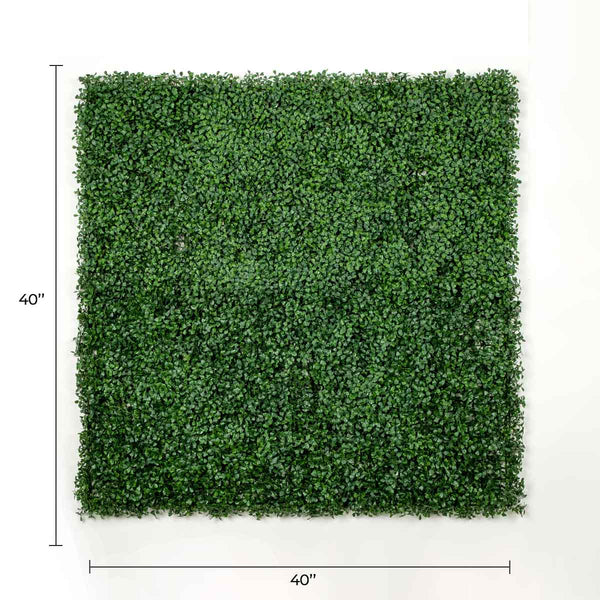 Dark Boxwood Artificial Vertical Garden Green Wall Panel 40×40in 11 SQ FT – UV Resistant – Commercial Grade
