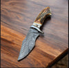 Premium Damascus Steel Hunting Knife with Stag Horn Handle – 10