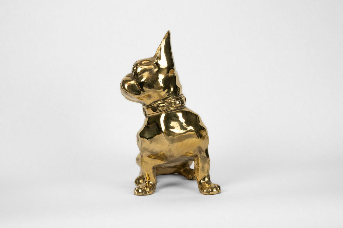 French Bulldog or 
