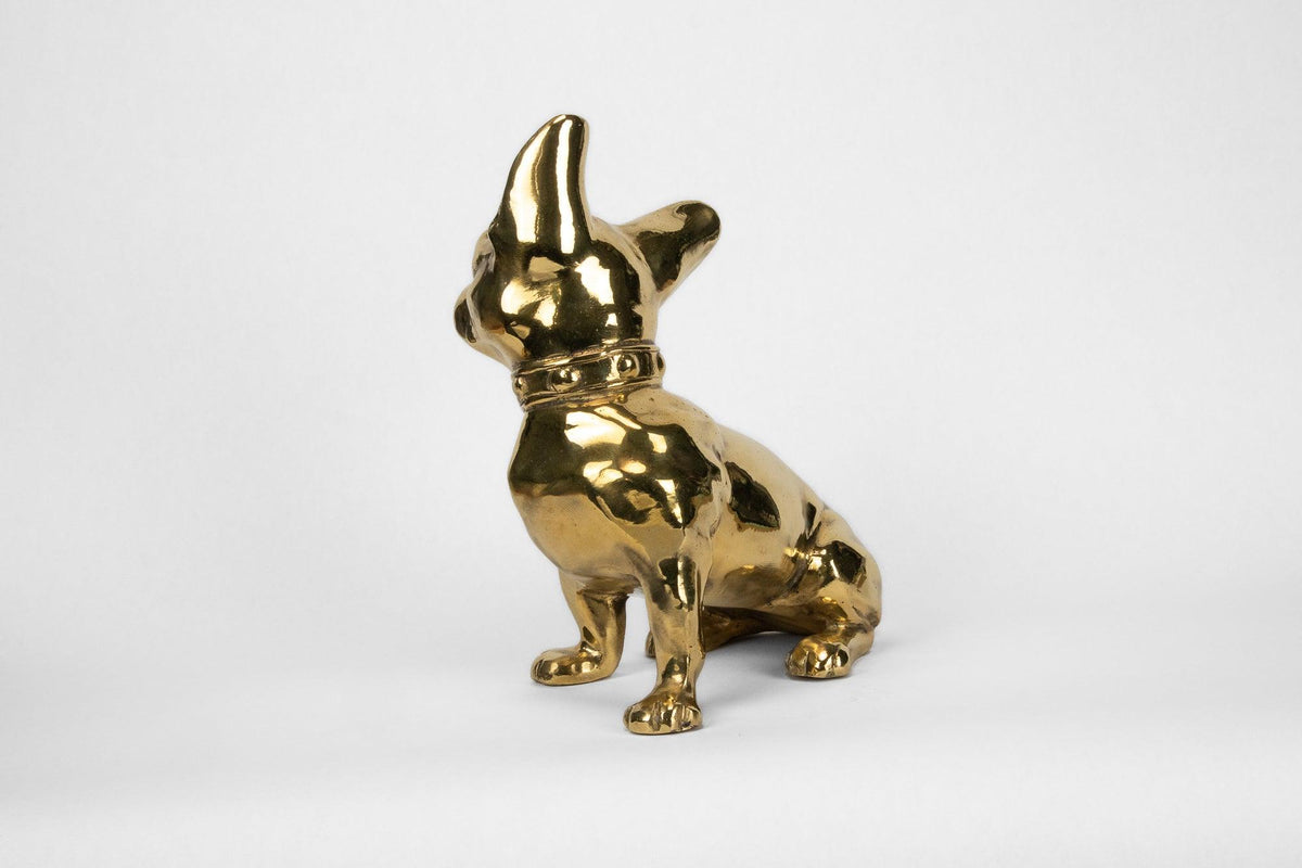 French Bulldog or 