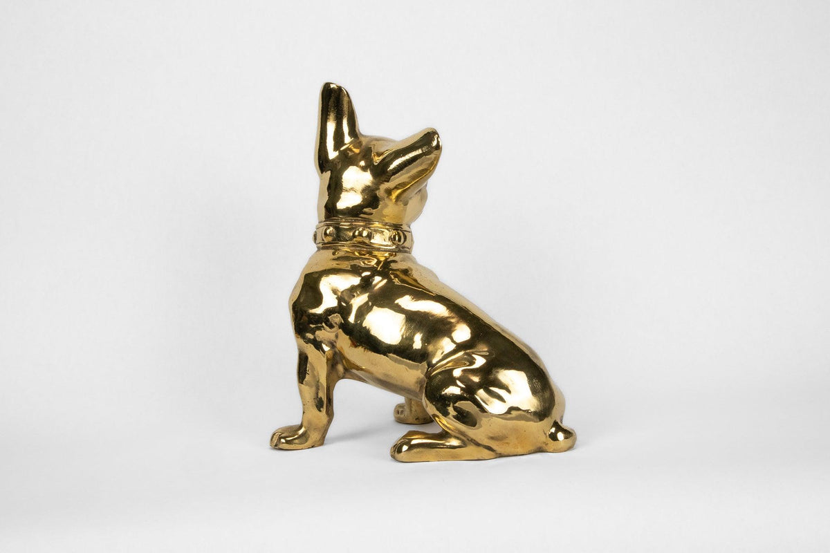 French Bulldog or 
