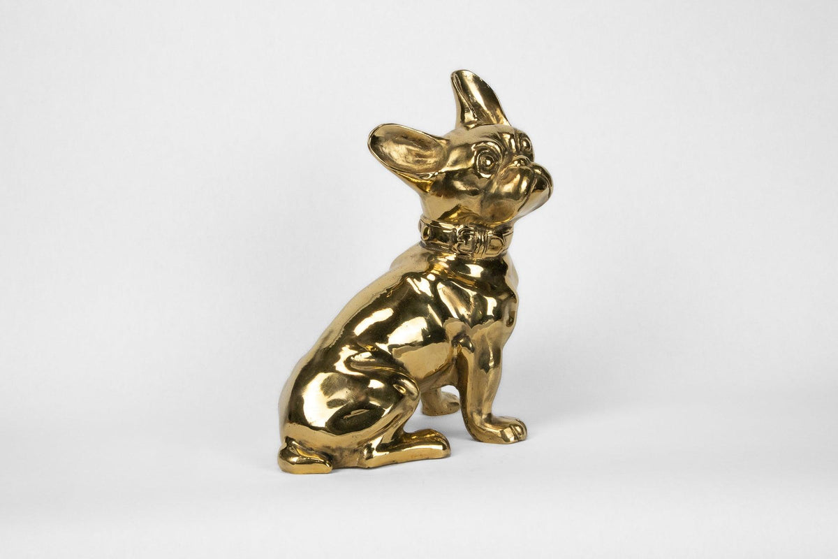 French Bulldog or 