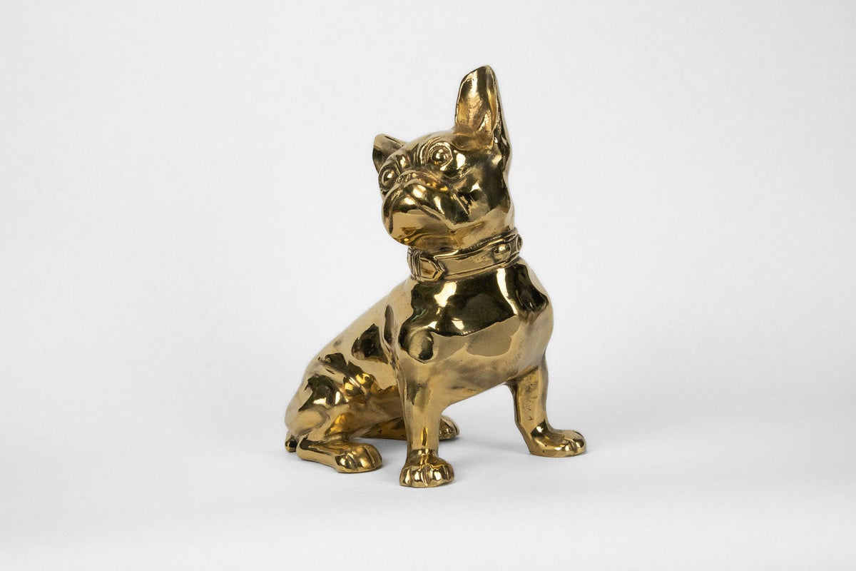 French Bulldog or 