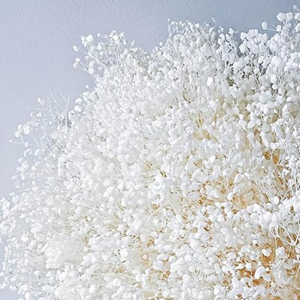 1 Bundle Dried Baby's Breath Gypsy Flowers for Wedding Floral Arrangement Home Party Decor
