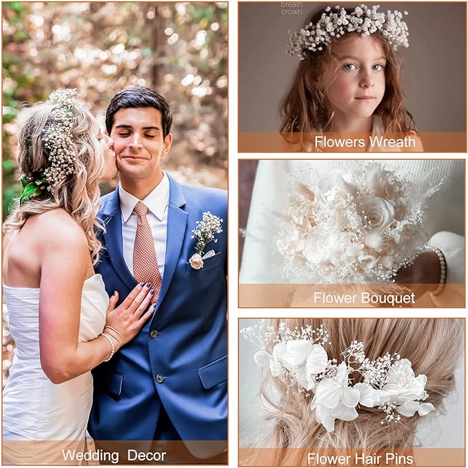 1 Bundle Dried Baby's Breath Gypsy Flowers for Wedding Floral Arrangement Home Party Decor
