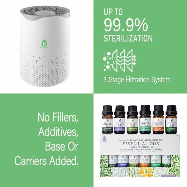 Pursonic Air Purifier with 6-Pack Premium Essential Oils Collection - Gifts for You 'n Me