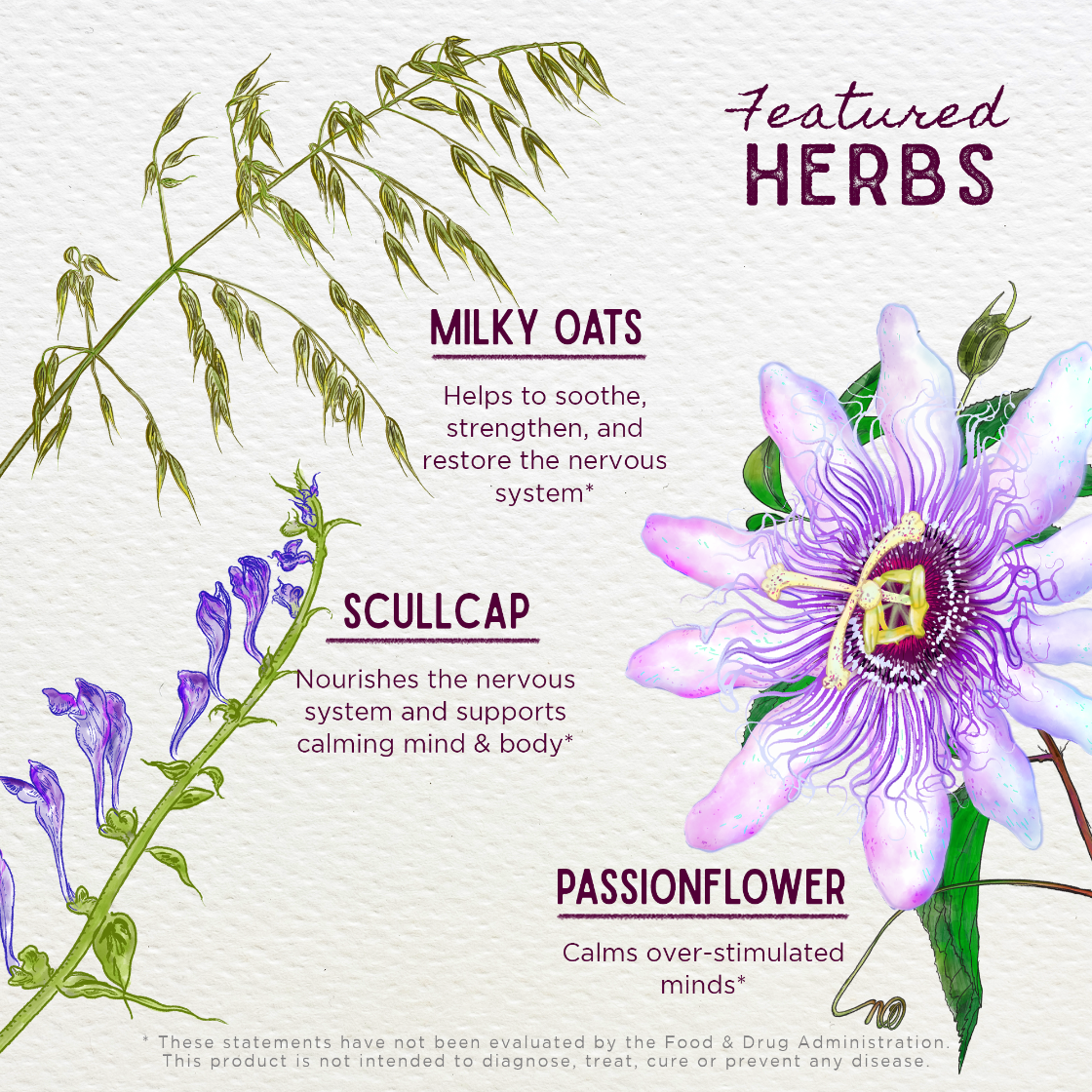 Illustration of herbs with text on a light background
