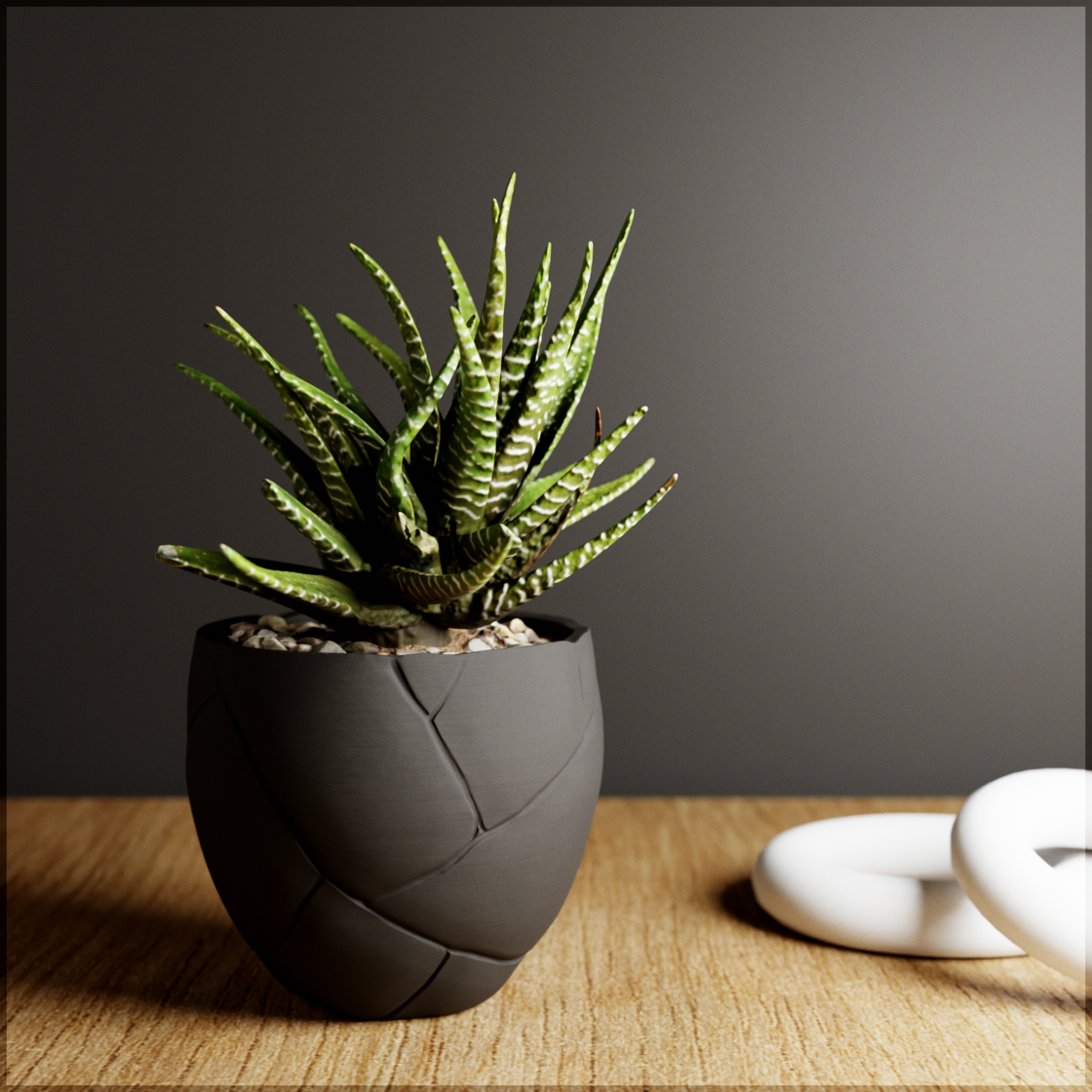 Potted plant in a textured black pot on a wooden surface with a gray background