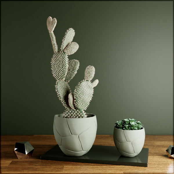 Decorative cacti in white pots on a wooden surface with a green background