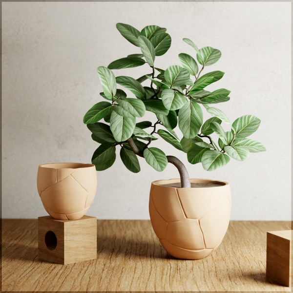 Two beige pots with a plant on a wooden surface