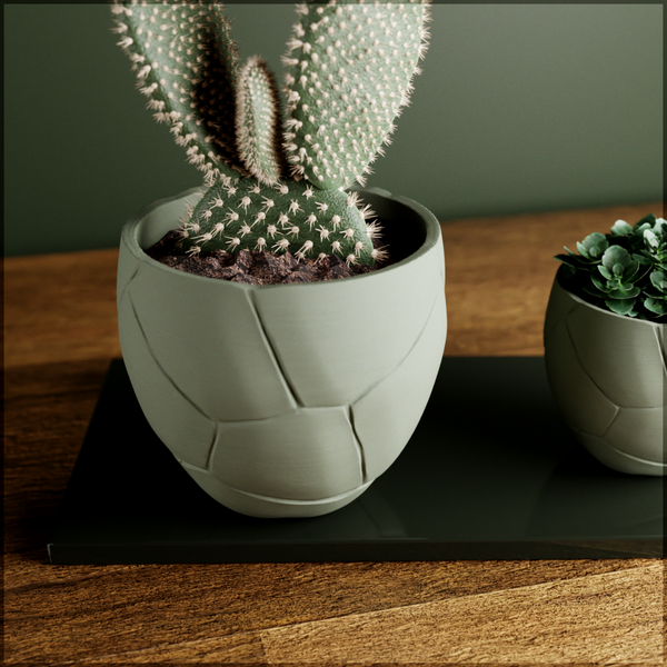 Cactus in a textured pot on a wooden surface with a green background