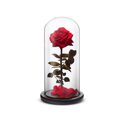 Everlasting Rose (Red)