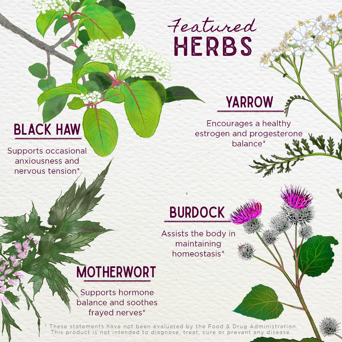 Illustration of herbs with their names and benefits on a white background