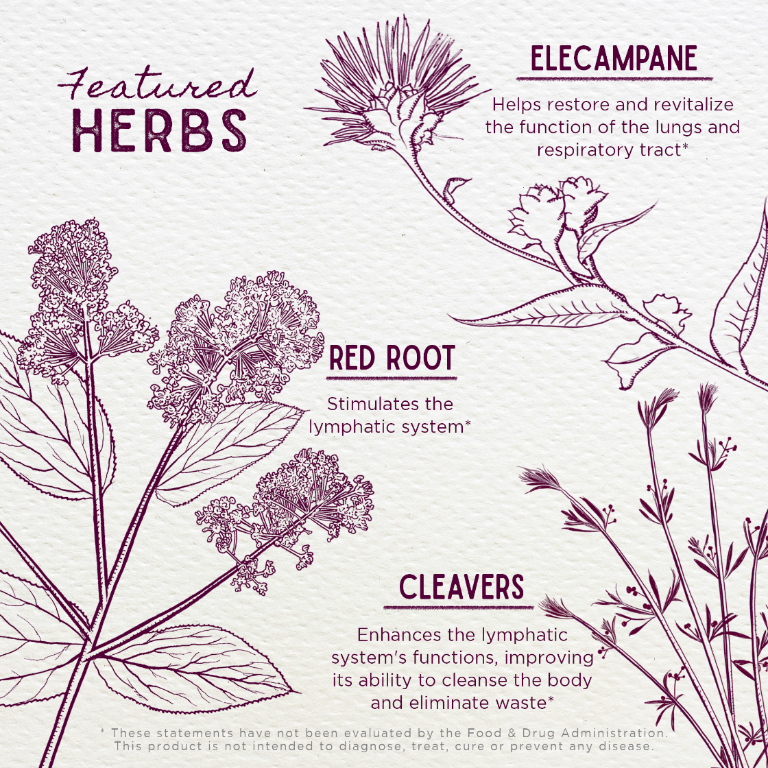 Illustrations of herbs with their names and benefits on a light background