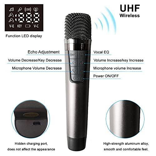RHM Karaoke PA Speaker System with 2 Wireless Microphones Bluetooth/AUX/USB/SD - Gifts for You 'n Me