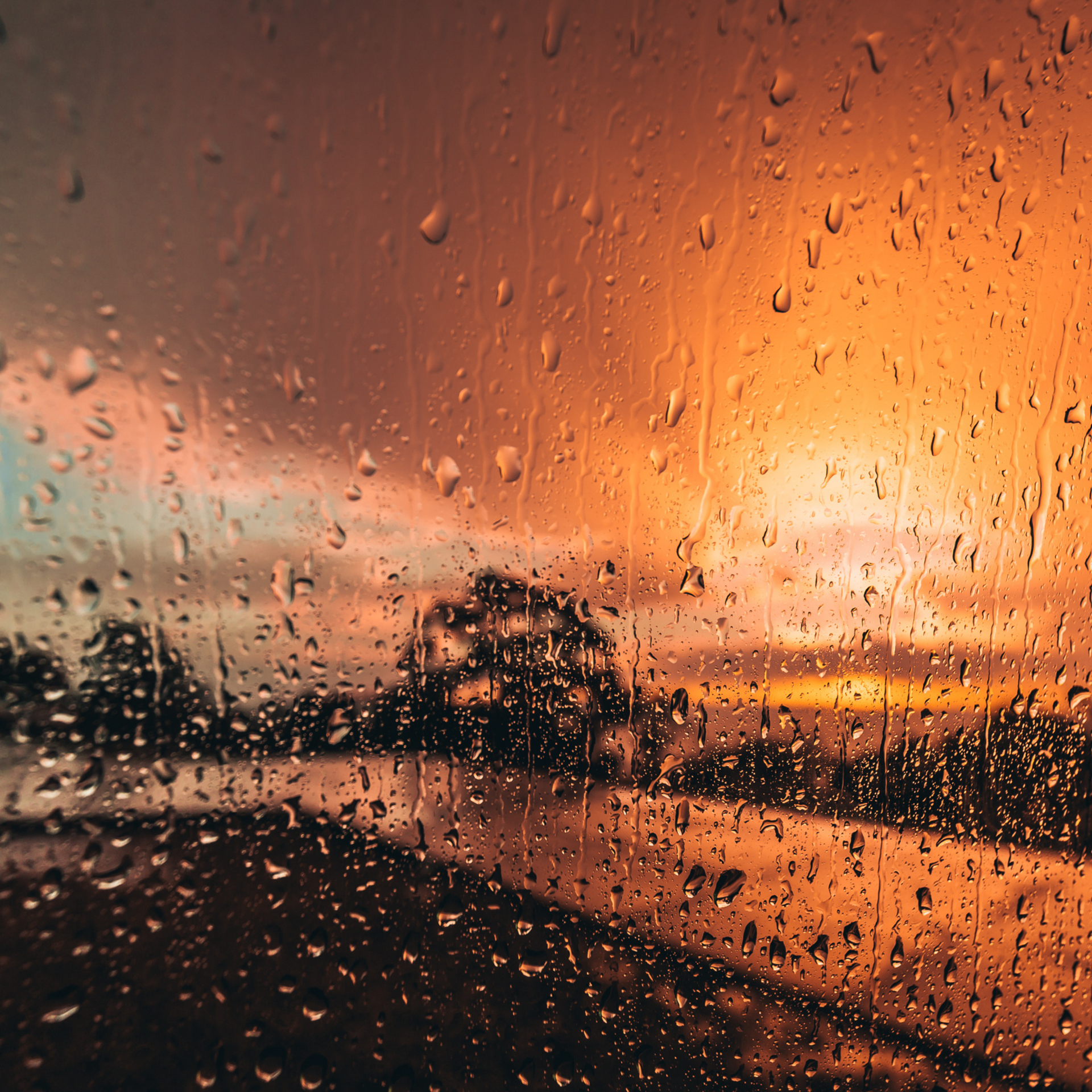 Rain