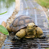 Realistic Ceramic Turtle Statue for Outdoor Garden Decor