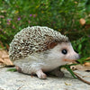 Resin Hedgehog Garden Statue with Realistic Fur Texture