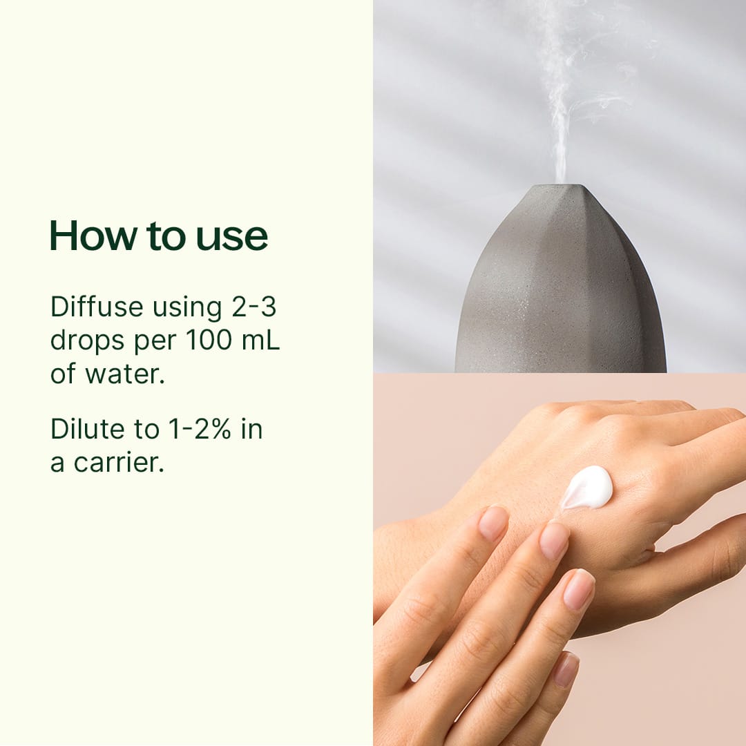 Rhododendron Essential Oil